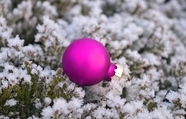 紫色圣诞彩球装饰物图片
