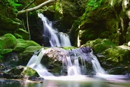 绿色森林山泉瀑布图片