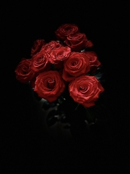 黑色艺术玫瑰花摄影图片