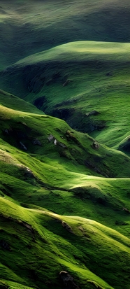 绿色草原丘陵风光摄影图片