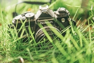 绿色草丛相机非主流图片