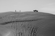 沙漠旅行黑白摄影图片