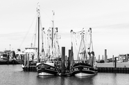 港口码头游艇黑白摄影图片