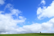 唯美蓝色天空卷积云草地风景图片