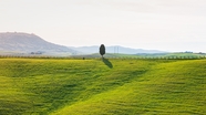 意大利托斯卡纳牧场草地风光摄影图片