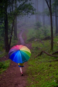 雨后撑着彩虹伞走在林间小路图片