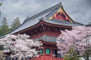 日本樱花日式风格建筑摄影图片