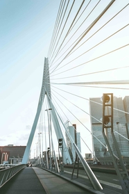 繁华都市现代城市吊桥建筑摄影图片