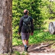 男人森林背包旅行探险图片