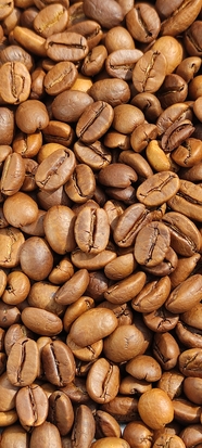 猫屎咖啡豆食物背景图片