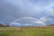 雨后葡萄庄园彩虹风景图片