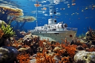 五彩斑斓海底世界潜水艇摄影图片