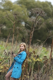 倚靠在枯枝上的蓝色风衣美女图片