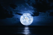 海上生明月风光摄影图片