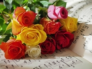 乐谱上置放的彩色玫瑰花图片