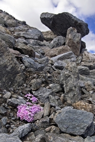 岩石堆积的高山局部摄影图片