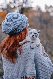 秋天美女抱着猫咪背影写真摄影图片