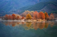 秋季树林山水风光摄影图片