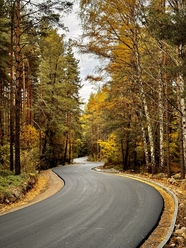 秋天生态林公路风景摄影图片