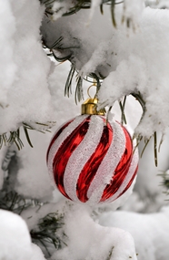 冬季雪景冷杉圣诞球装饰图片