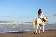 海边沙滩骑马的美女背影图片