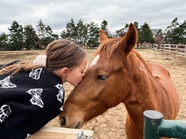 农场小女孩亲吻棕色马匹图片