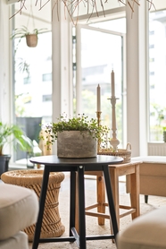 现代室内一角桌子沙发盆栽植物摄影图片