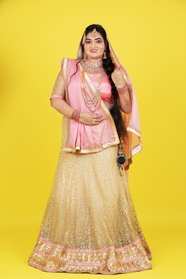 印度微胖美女传统服饰个人写真艺术照