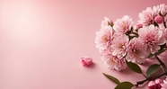 春天粉色花卉背景摄影图片