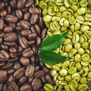 生熟两色咖啡豆摄影图片