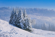 冬季冰雪世界雪山雪松雪地摄影图片