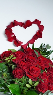 红色浪漫爱心玫瑰花束摄影图片