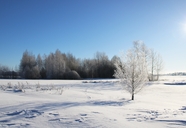 冬季萧条冰雪世界雾凇风光摄影图片