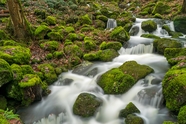 绿色青苔山间溪流岩石摄影图片