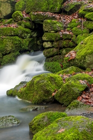 山间小溪长满青苔的岩石图片
