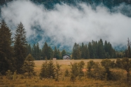 雾气朦胧山野房屋树林风景摄影图片
