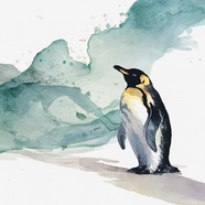 水彩风企鹅绘画作品图片