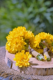 扎捆的黄色菊花束摄影图片