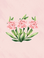 粉色水彩风格花卉背景摄影图片