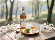 树林木桌托盘麦卡伦摄影图片