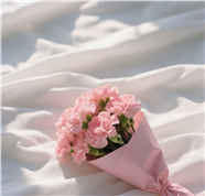 白色丝绸上的康乃馨花束图片