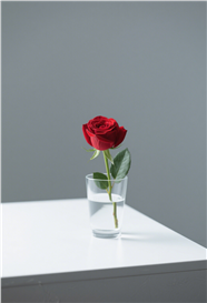 插在玻璃杯中的红玫瑰图片