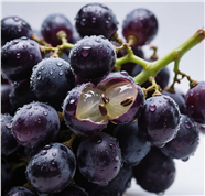 新鲜黑提水果摄影图片