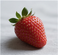 一颗红色新鲜草莓摄影图片