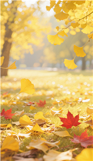 金色秋天缤纷落叶摄影图片