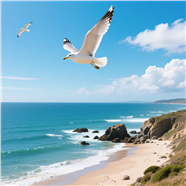 蓝色天空大海沙滩飞翔的海鸥图片