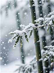 竹林雪景风光摄影图片