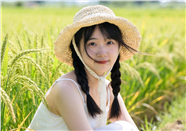 夏日稻田质朴清新女孩摄影图片