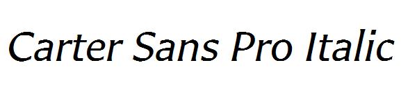 Carter Sans Pro Italic
