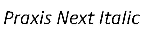 Praxis Next Italic